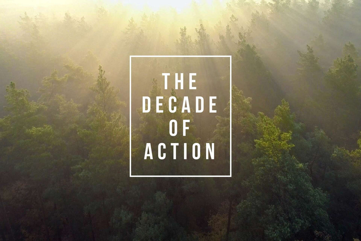 Load video: The Decade of Action - Sustainability